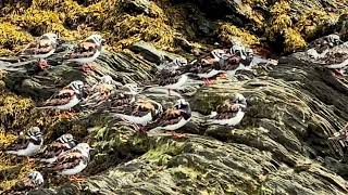 A Calm Day On The Watter