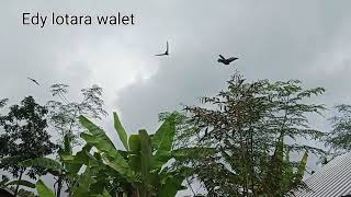 Download Lagu SP Di musim panas mampu menarik keloni rugi kalok tonton aza MP3