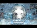 اليرت شاشة كاملة Winter Is Coming Full Screen Alert