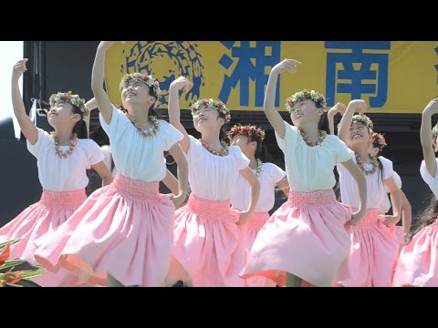 Koali　フラ ハラウ オ レイラニ　vol.4　湘南祭2016