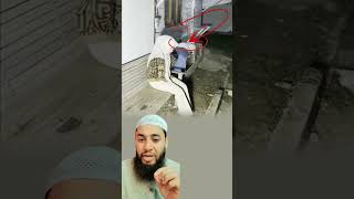 لم تكن تعلم أن جلستها القصيرة ستوقظ روحا غامضة جنيا نهض ببطء وكأنه يستجيب لنداء خف