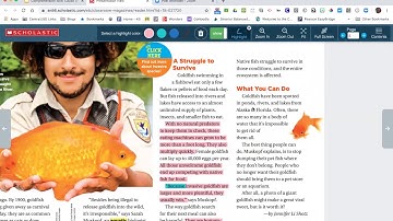 Reading Comprehension: Cause and Effect