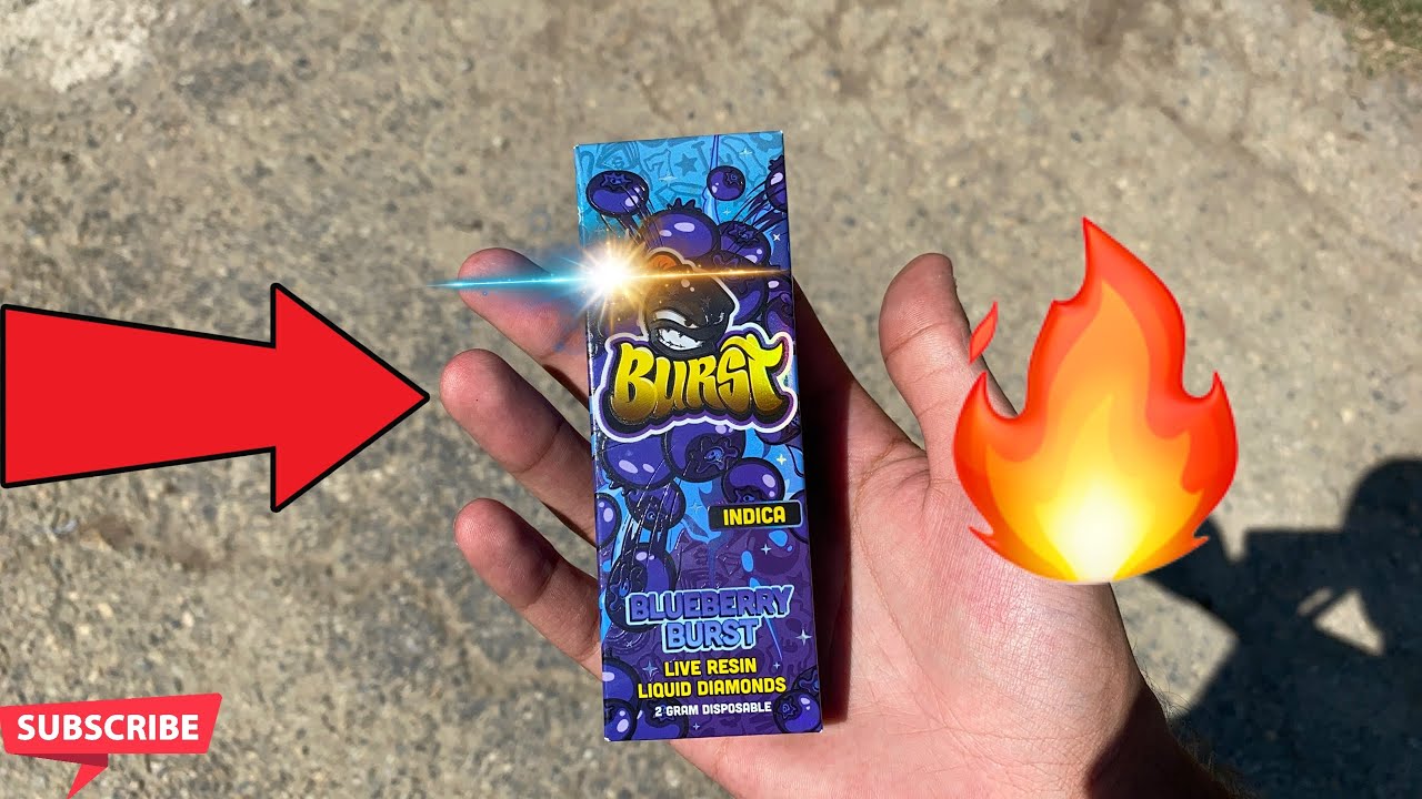 Blueberry Burst Disposable Review/HotBox Wit The Homies!