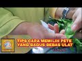 Tips cara memilih pete yang bagus bebas ulat #sahabatpakbro #ugstoreku