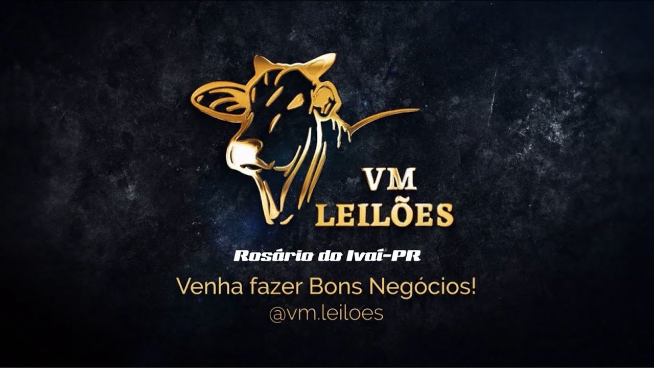 Leilão de Gado Geral - VM LEILÕES - 05 de MARÇO 2026 / Rosário do Ivaí-PR