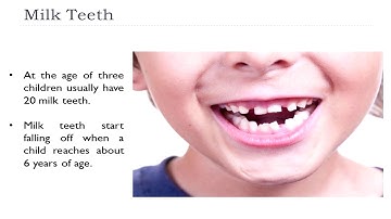 Class 4th | Science| L-2 | Food and Digestion | Part-1 | Ms. Shweta  Devendra.