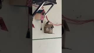 # itni shakti tu dena prabhu ji 🙏🙏 #geetamaa #shortvideo #birdhouse