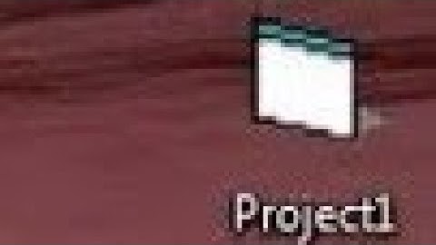 "Project1.exe"