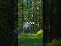 Places That Calm Your Mind 🌿✨ | ZeroAi Facts