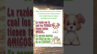 Frases Con Amor ♥️#frases #amor #novios #reflexion #frasesmotivadoras #sad #amorpropio #love #amor