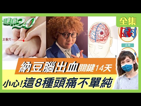 台灣-健康2.0