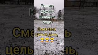 Смешно ж😂 #любовь #котики #жиза #love #кот #смех #shortvideo #shorts