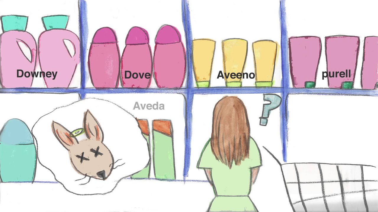 No animal testing on products - YouTube