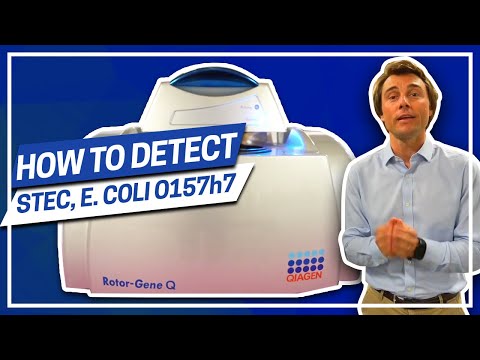 How to detect STEC, E.coli O157h7 and Salmonella