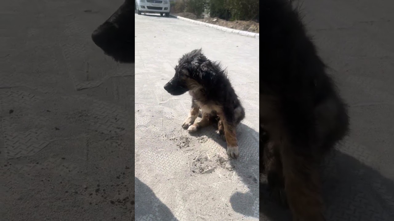 ਬੇਨਤੀ ਆ ਕੇ ਧਿਆਨ ਦਿਓ ਜੀ 🙏😃