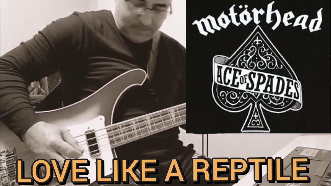 Motorhead-Love Like a Reptile(Bass Cover+Partitura+Tablatura) - YouTube