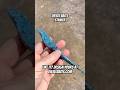 💥DIESELBAITS.COM Striker 7" soft plastic fishing lure! #fishing #bassfishing #shorts #fishingvideo
