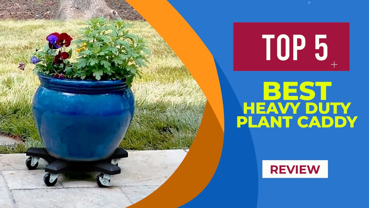 The 5 Best Heavy Duty Plant Caddy in 2024 Reviews Most Popular