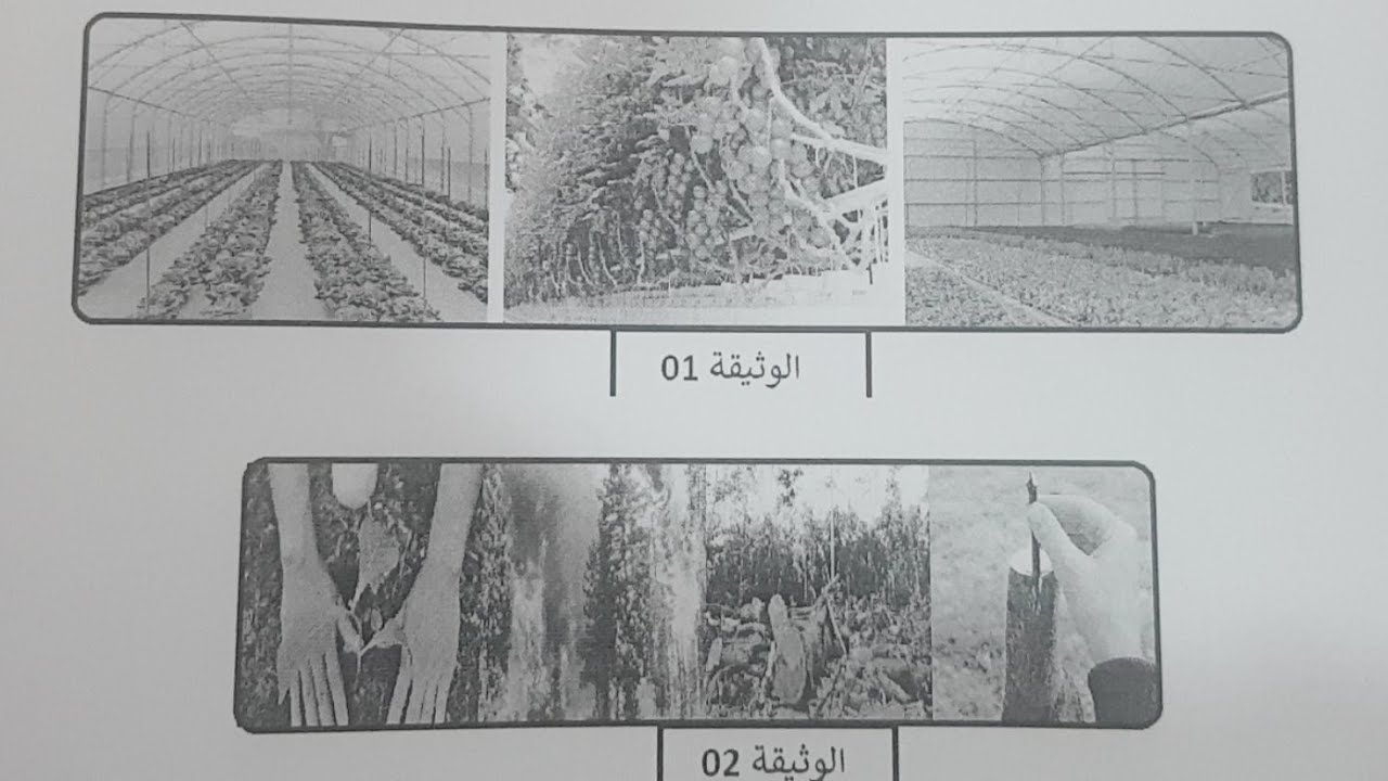 مراجعة عامة في علوم الطبيعة والحياة تحضيرا للفرض 1 متوسط