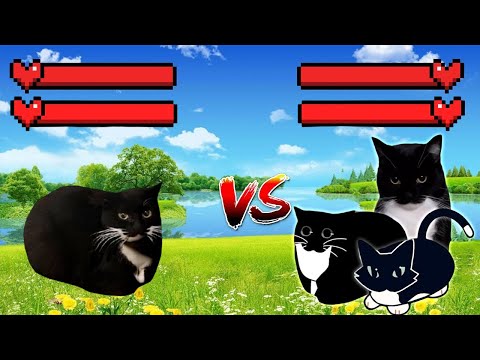 Maxwell Cat Vs Maxwell Cat All Parts