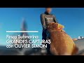 🔱⭐️GRANDES capturas con OLIVIER SIMON