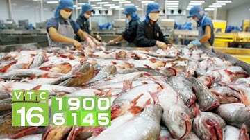 Xuất khẩu thủy sản lập mốc kỷ lục 9 tỷ USD | VTC16