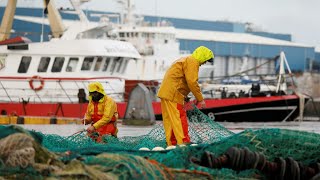 Pêche post-Brexit: Londres menace de renforcer les contrôles des bateaux européens • FRANCE 24