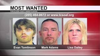 TUSCALOOSA'S MOST WANTED: SEPT. 21, 2016