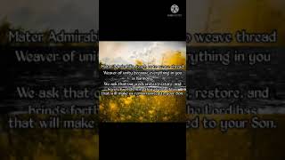 Celebrating The Feast Of Mater Admirablis With Rita Pinto Rscj