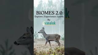 Exploring Tripura 🇮🇳 | Nature, Culture &amp; Hidden Gems #travel #nature #tourism #tourist