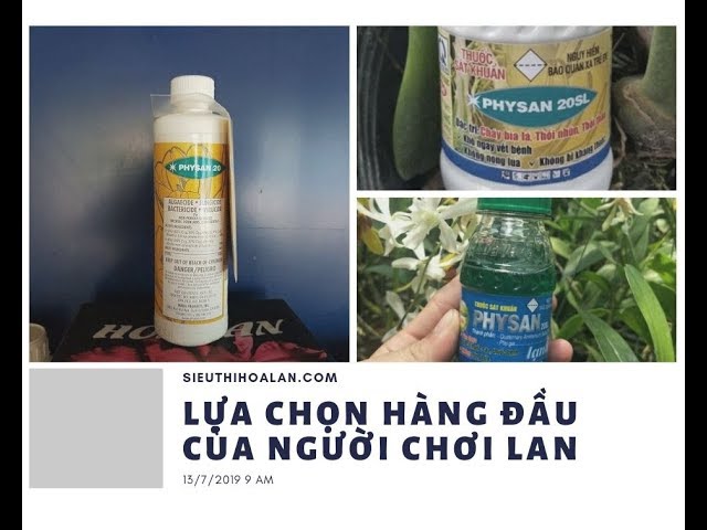💡Thuốc trị thối nhũn Nổi tiếng hơn 10 năm nay | MAi Huy |💡[KNN]