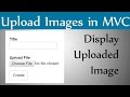 How to Upload Image And Display Image in Asp.Net Mvc With An Example