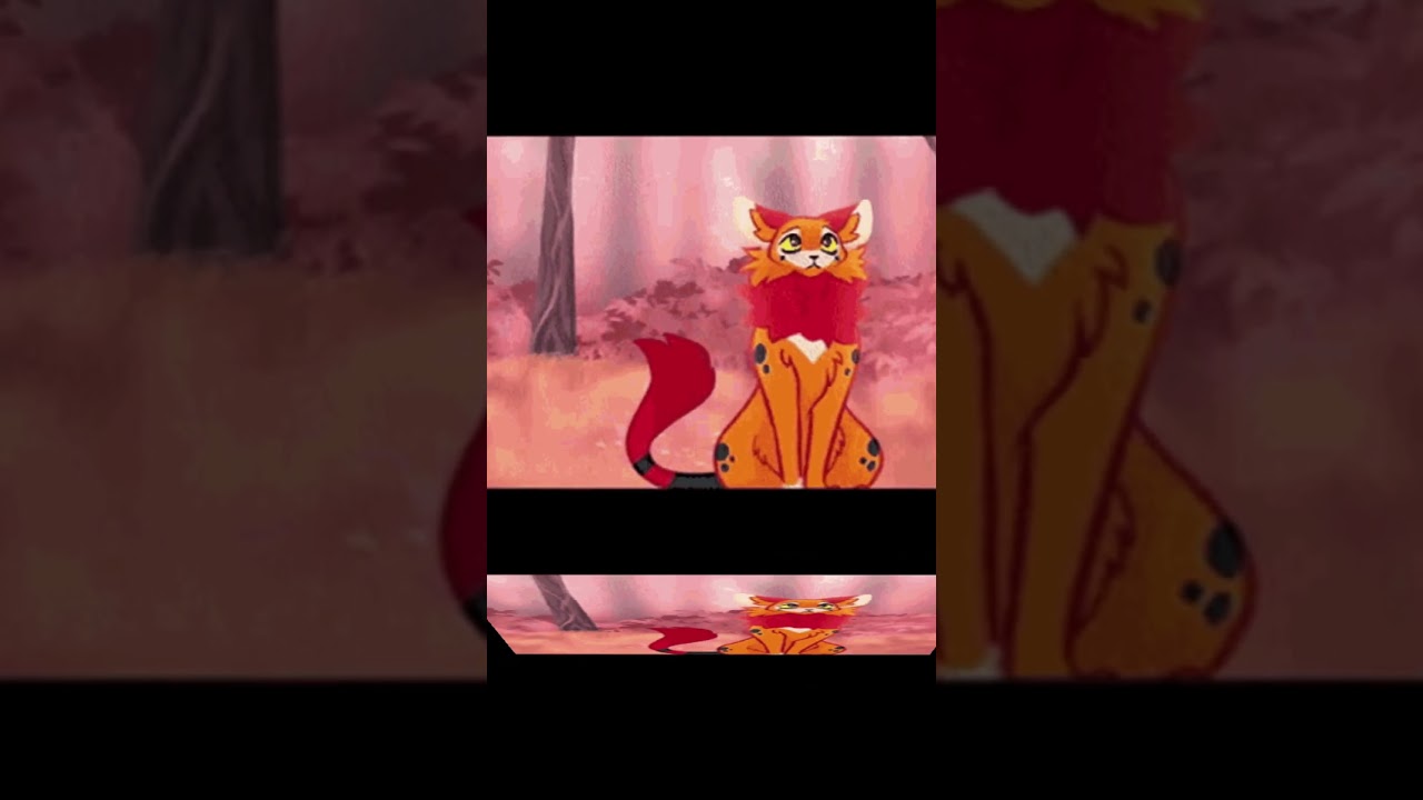 warrior she-cats singing señorita 🫶 (no art is mine) 