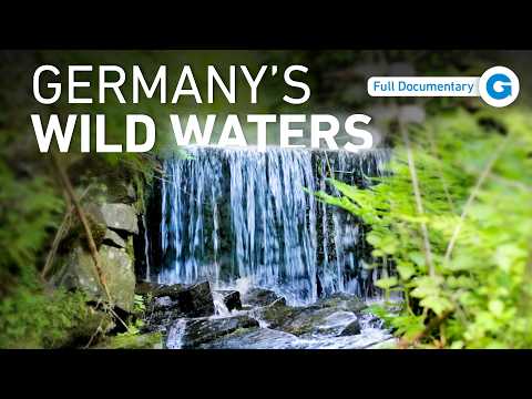 From The Harz Mountains To The North Sea documentary thumbnail
