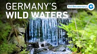 From The Harz Mountains To The North Sea | Full Documentary