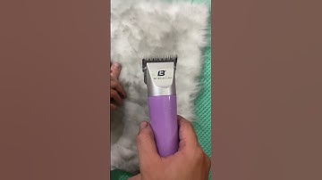 Mài lưỡi tông đơ Grooming TAA siêu bén ngọt #maitongdo #maikeo #petshop #grooming