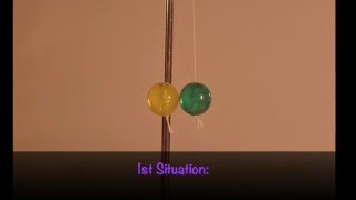 Bouncy Ball Collisions