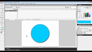 Action Script 2 en Macromedia Flash 8 - Botón con direccion WEB
