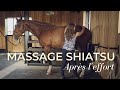 Un massage de a  z pour votre cheval