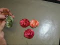 DIY Lollipop Flowers