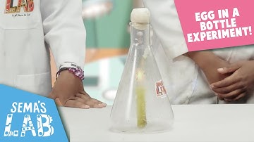 Egg In A Bottle Science Experiment | Science Experiment For Kids | Sema