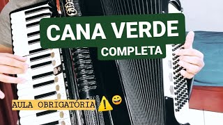 Video thumbnail of "Como tocar CANA VERDE Completa no Acordeon - Aula de Sanfona"