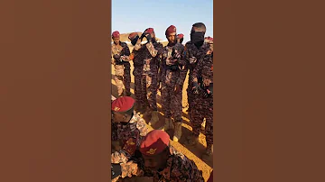 القوات المسلحه السودانية 