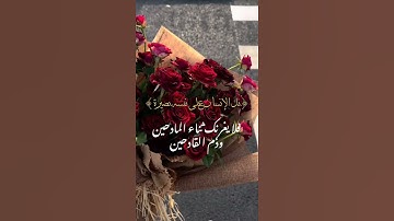 بل الإنسان على نفسه بصيرة 🌨#explore  #قرآن  #اسلام_صبحي   #آيات_مؤثرة #تلاوة_خاشعة #حالات_واتس
