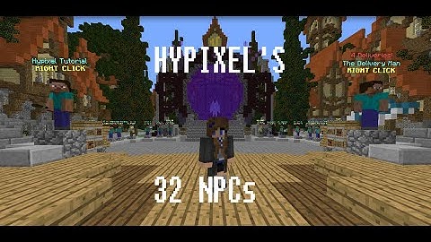 How to find all 32 HYPIXEL NPC rewards!