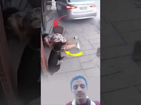 عيونه اتسعت أذناه انتصبتا أدرك الخطر قبل أن تراه واندفع كالسهم لينقذها اكسبلور