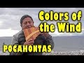 Pocahontas "Colors of the Wind" - PAN FLUTE