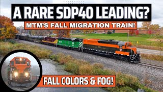 A RARE SDP40? Great Northern 325 Leading MTMs Migration Train - Minnesota Transportation Museum -
History is ALIVE with a RARE locomotive, Great Northern 325 leading The Minnesota Transportation Museums (MTM) fall equipment migration train! This classy RARE SDP40, coupled with an SD9, and GP7, looked great against the fog and fall colors. This move only happens twice a year, and is a treat to see, nonetheless.
From the start, under a thick, and heavy coating of fog, these three classic locomotives emerge and rock down the tracks. Further down the line, well see the fog start to break up, and watch the train make its ways down the rails. This rare, and classy looking SDP40 is a rare locomotive, and has been beautifully restored in Great Northern colors. The BN SD9, and Soo Line GP7 are a nice touch, with the passenger cars in tow. This was a fun chase, with a lot to see!
More info, and tickets, can be found at: https://transportationmuseum.org/
Instagram: https://www.instagram.com/sd457500/
https://www.facebook.com/SD457500
https://www.tiktok.com/@sd457500
#train #diesel #railway
Any use of this content without expressed, clear permission is prohibited. For usage, licensing, and other usage, contact me on Instagram at SD457500.
Copyright 2025 Douglas Hildebrandt, all rights reserved. A RARE SDP40? Great Northern 325 Leading MTMs Migration Train - Minnesota Transportation Museum -