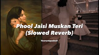 Phool Jaisi Muskan Teri Slowed Reverb 🦋💗 | Taqdeerwala 1995