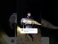 The Gar Milton caught@xtremetrophyfishing  #alligatorgar #viralshorts #foryou #pictureoftheday